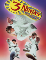 3 Küçük Ninja 3 Türkçe Dublaj izle