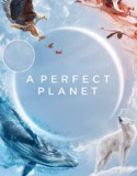 A Perfect Planet 1. Sezon 4. Bölüm Türkçe Dublaj izle