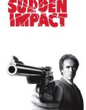 Ani Vuruş – Sudden Impact 1983 Türkçe Dublaj izle