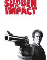 Ani Vuruş – Sudden Impact 1983 Türkçe Dublaj izle