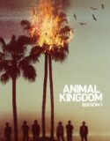 Animal Kingdom 1. Sezon 7. Bölüm Türkçe Dublaj izle