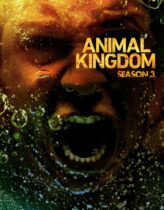 Animal Kingdom 3. Sezon 10. Bölüm Türkçe Dublaj izle