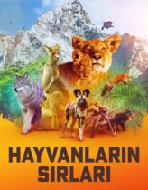 Animal 1. Sezon 4. Bölüm Türkçe Dublaj izle