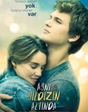 Aynı Yıldızın Altında 2014 Türkçe Dublaj izle