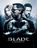 Blade 3: Trinity Türkçe Dublaj izle