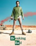 Breaking Bad 1. Sezon 5. Bölüm Türkçe Dublaj izle