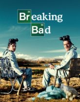 Breaking Bad 2. Sezon 1. Bölüm Türkçe Dublaj izle