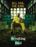 Breaking Bad 5. Sezon 1. Bölüm Türkçe Dublaj izle