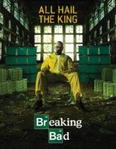 Breaking Bad 5. Sezon 16. Bölüm Türkçe Dublaj izle