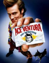 Budala Dedektif 1 Türkçe Dublaj izle