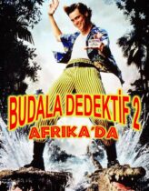 Budala Dedektif 2 Türkçe Dublaj izle