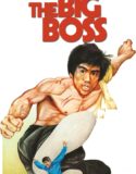 Büyük Patron Türkçe Dublaj izle