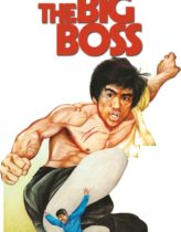 Büyük Patron Türkçe Dublaj izle