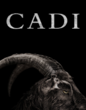 Cadı 2015 Türkçe Dublaj izle