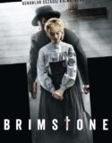 Cehennem 2016 Türkçe Dublaj izle