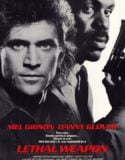 Cehennem Silahı 1 Türkçe Dublaj izle