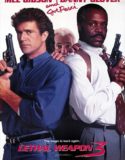 Cehennem Silahı 3 Türkçe Dublaj izle