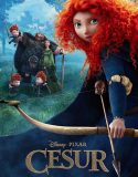 Cesur – Brave 2012 Türkçe Dublaj izle