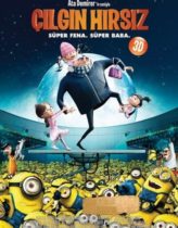 Çılgın Hırsız Türkçe Dublaj izle