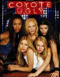 Çıtır Kızlar – Coyote Ugly 2000 Türkçe Dublaj izle