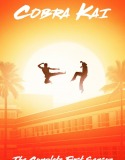 Cobra Kai 1. Sezon 5. Bölüm Türkçe Dublaj izle