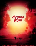 Cobra Kai 2. Sezon 1. Bölüm Türkçe Dublaj izle