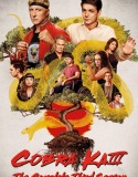 Cobra Kai 3. Sezon 8. Bölüm Türkçe Dublaj izle