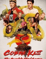 Cobra Kai 3. Sezon 10. Bölüm Türkçe Dublaj izle