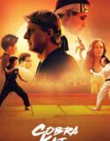 Cobra Kai 4. Sezon 8. Bölüm Türkçe Dublaj izle