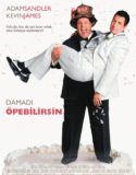 Damadı Öpebilirsin 720p Türkçe Dublaj izle