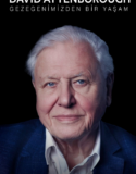 David Attenborough: Gezegenimizden Bir Yaşam Türkçe Dublaj izle
