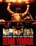 Demir Yumruk 2016 Türkçe Dublaj izle