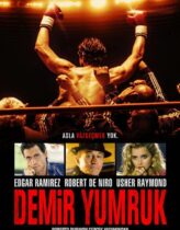 Demir Yumruk 2016 Türkçe Dublaj izle