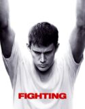 Dövüş 2009 Türkçe Dublaj izle