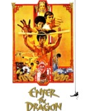 Ejder Kalesi Türkçe Dublaj izle