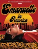 Emanuelle Amerika’da Namıdiğer Siyah Emanuelle Full HD izle