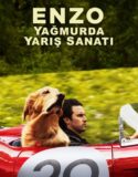 Enzo: Yağmurda Yarış Sanatı 2019 Türkçe Dublaj izle