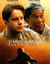 Esaretin Bedeli Türkçe Dublaj izle