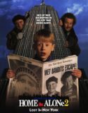 Evde Tek Başına 2 – Home Alone 2 Türkçe Dublaj izle