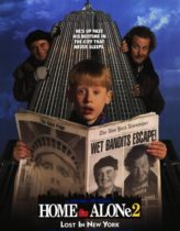 Evde Tek Başına 2 – Home Alone 2 Türkçe Dublaj izle