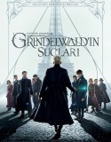 Fantastik Canavarlar 2: Grindelwald’ın Suçları Türkçe Dublaj izle