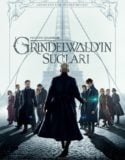Fantastik Canavarlar: Grindelwald’ın Suçları Türkçe Dublaj izle