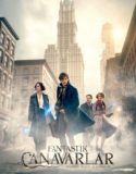 Fantastik Canavarlar Nelerdir, Nerede Bulunurlar Türkçe Dublaj izle