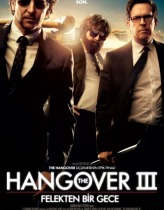 Felekten Bir Gece 3 – The Hangover Part III Türkçe Dublaj izle