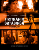 Fırtınanın Ortasında 2015 Full Türkçe Dublaj HD izle