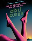 Gizli Kusur 2014 Türkçe Dublaj izle