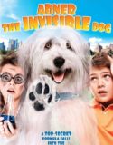 Görünmez Köpek – Abner the Invisible Dog 2013 Türkçe Dublaj izle