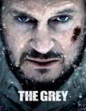 Gri Kurt 2011 Türkçe Dublaj izle