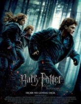 Harry Potter ve Ölüm Yadigarları: Bölüm 1 Türkçe Dublaj izle