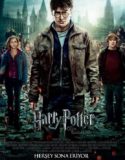 Harry Potter ve Ölüm Yadigarları: Bölüm 2 Türkçe Dublaj izle